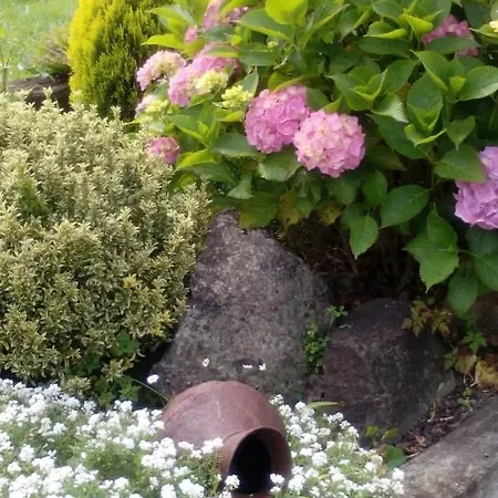 Дом отдыха Casina Manzana