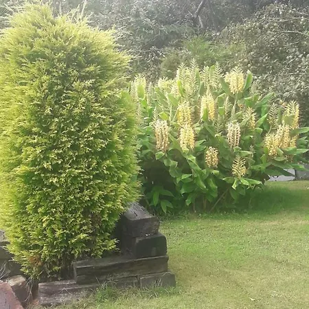 Casina Manzana Сasa de vacaciones *