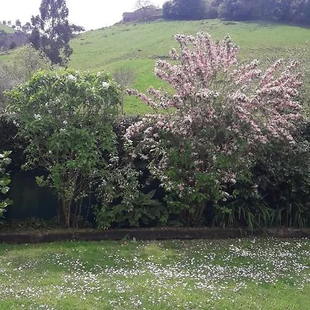 Сasa de vacaciones Casina Manzana Villaviciosa (Asturias)