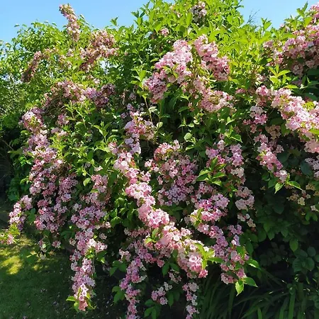 Сasa de vacaciones Casina Manzana *
