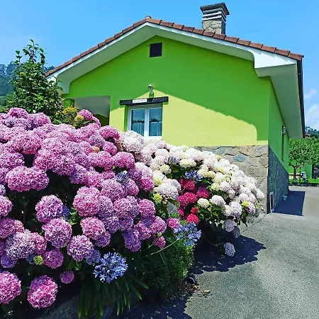 Casina Manzana *